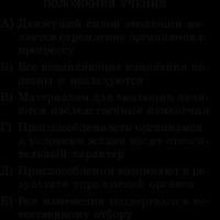 Развитие эволюционных идей Рецессивные мутации подвергаются естественному отбору в случае